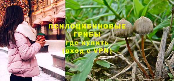 винт Абаза