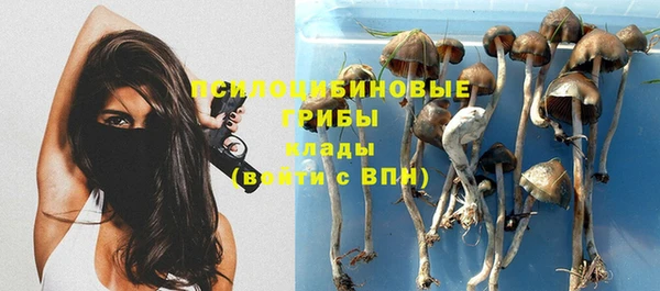 винт Абаза
