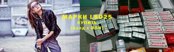 винт Абаза