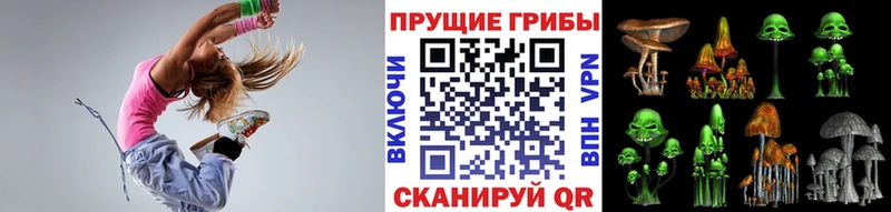 Псилоцибиновые грибы Psilocybine cubensis дарк нет формула Симферополь